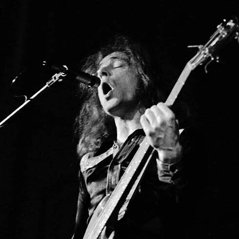 Artist Homepage - Guitars
