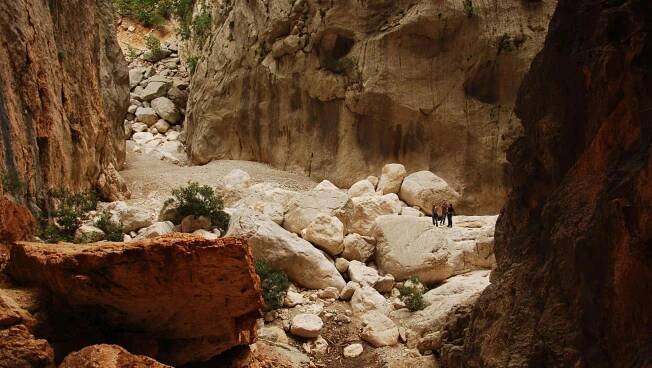 Canyon Gorropu