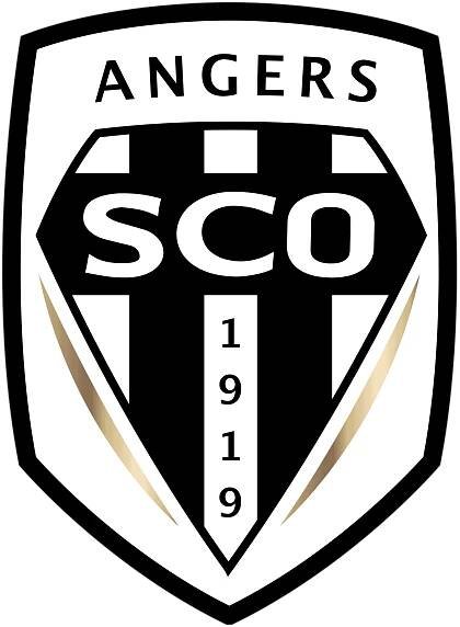Angers SCO: Player Salaries