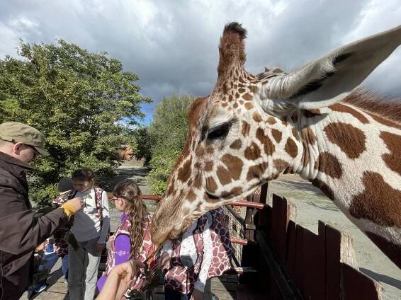 ZOO první den | Základní škola Pardubice-Dubina, Erno Košťála 870