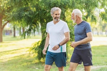 starší přátelé jogging - rychlá chůze tělesné cvičení - stock snímky, obrázky a fotky