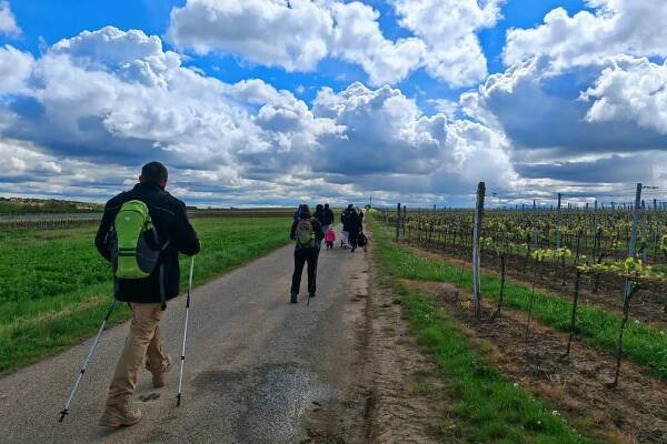 Den Znovín Walkingu 19. 4. 2025