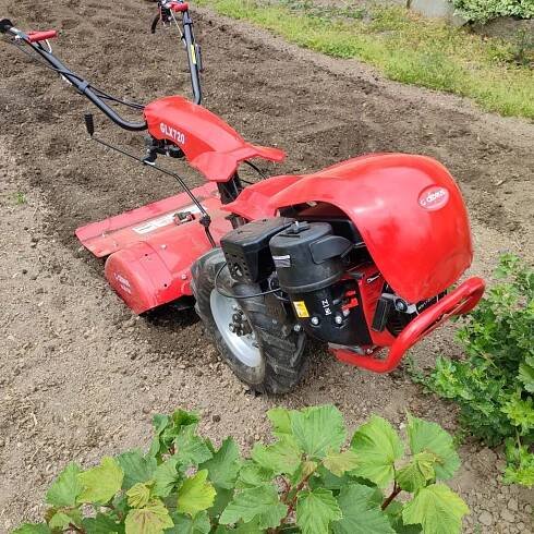 Glebogryzarka dzik Cedrus glx720