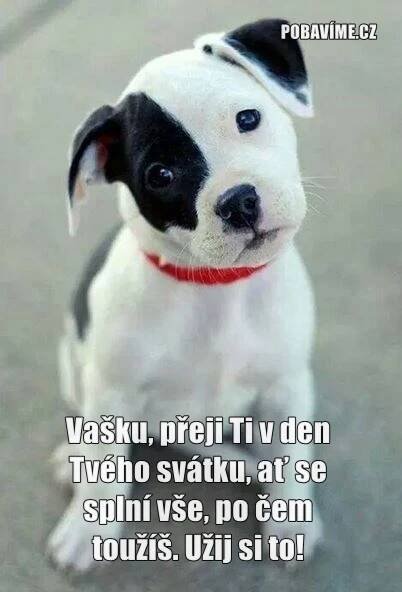 Přání k svátku pro Josefa (Pepu). Nejkrásnější přání zdarma