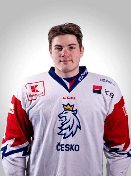 Para hokejista - Filip Veselý - Český para hokej