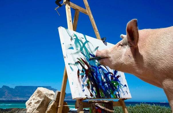 Pigcasso