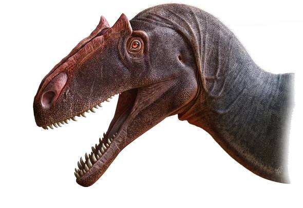 New Dinosaur Alert! Just Look at This Marvelous Meat-Eating Allosaurus