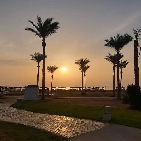 SATAYA RESORT MARSA ALAM - Updated 2025 Prices & Hotel Reviews (Egypt)