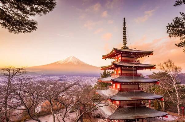 Fotogalerie: Japonsko, země samurajských tradic i moderní zábavy 