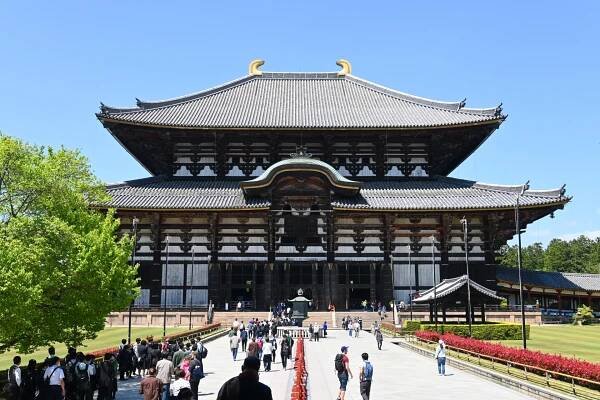 Nara Park: A Complete Guide to Japan’s Historic Deer Park - Japambience