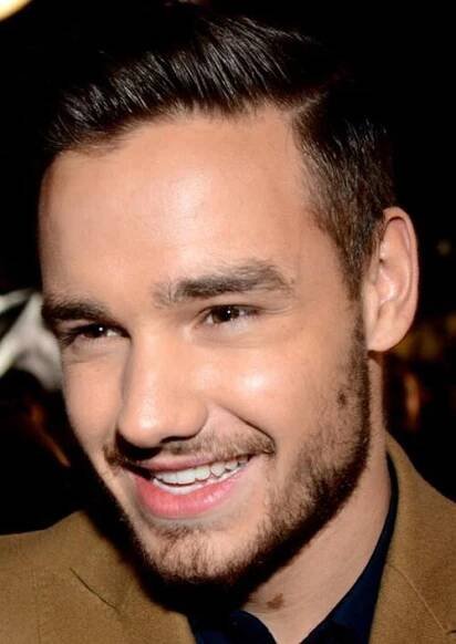 Soubor:One Direction NRJ 2013 2.jpg