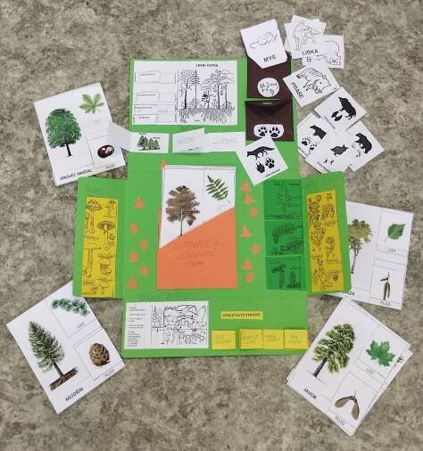Lapbook - ekosystém les - ZŠ Junácká