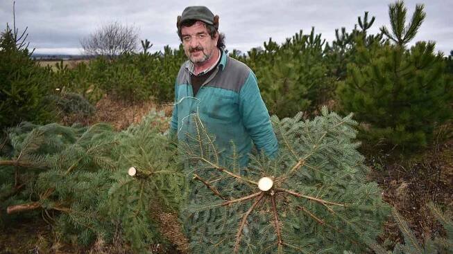 Kam pro stromek na Žatecku? Na plantáž, farmu nebo do bývalé školy