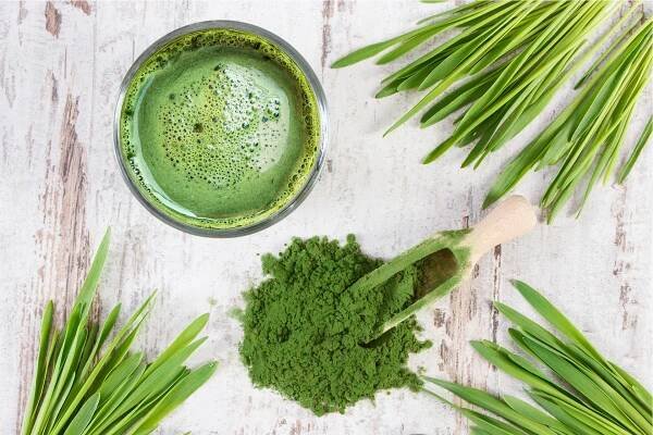 Chlorella a Ječmen Green Ways: Co je co a co je na co?