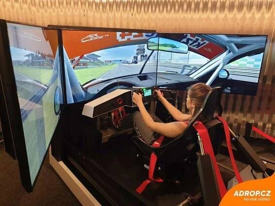 Profesionální závodní simulátor automobilů a Formule 1