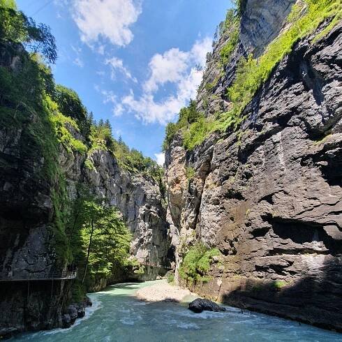 Z Curychu: Údolí vodopádů a soutěska Aareschlucht - celodenní výlet z Curychu | GetYourGuide
