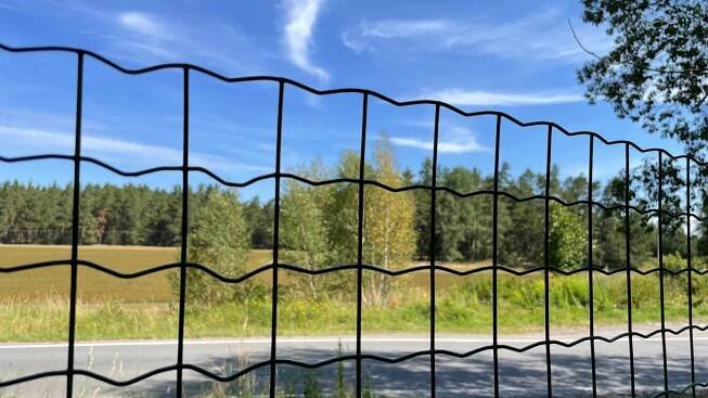 Svařované pletivo, 50x50 oko, zelené, poplastované | Pletipedie.cz