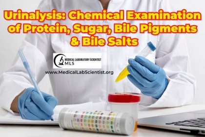 Urinalysis: Chemical Examination of Protein, Sugar, Bile Pigments & Bile Salts