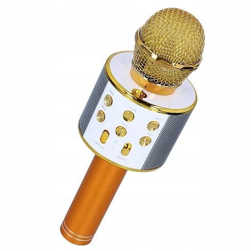 KARAOKE MIKROFON REPRODUKTOR S BEZDRÁTOVÝM MIKROFONEM BLUETOOTH NAHRÁVÁNÍ Bezpečnostní informace CE