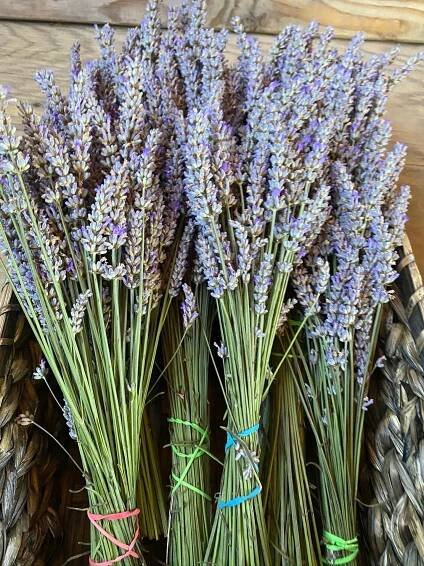 Gallery — bohemian flowers