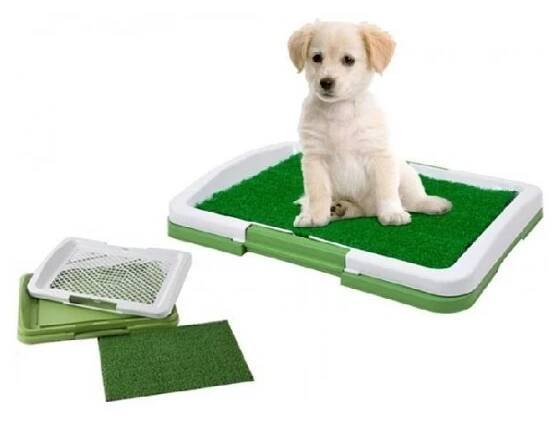 Domácí toaleta pro psy záchod, psí wc potty pad