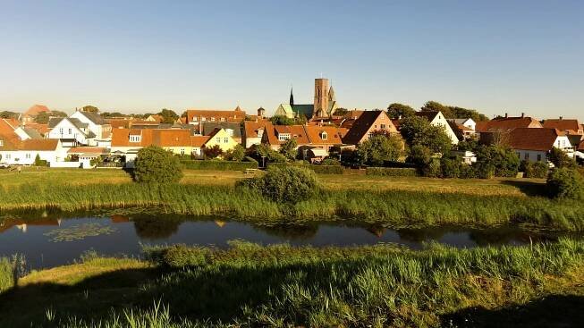 Ribe