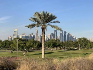 Where to barbecue in Doha: Al Bidda Park