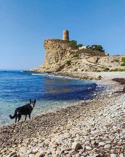 Playa El Xarco, Španělsko - Průvodce po plážích, informace, fotografie - BeachAtlas