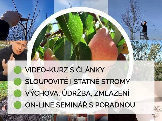 jadroviny2b