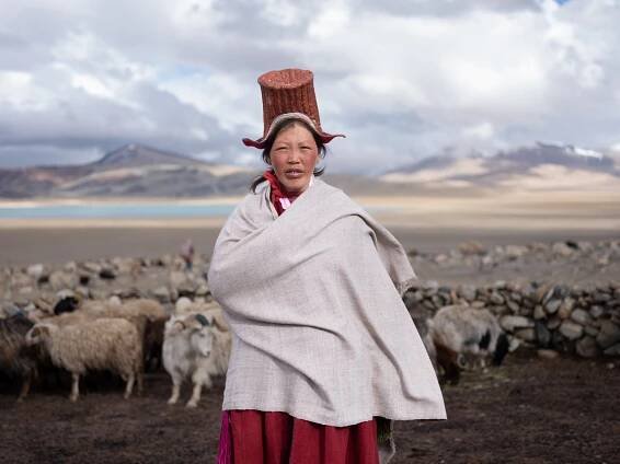 What is cashmere — Lehvallée