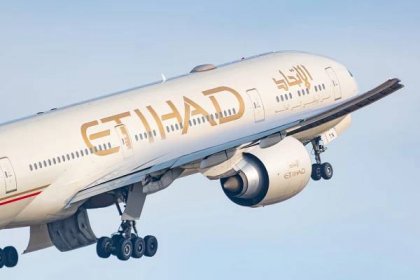Etihad Baggage Fees & Tips To Cover the Expenses