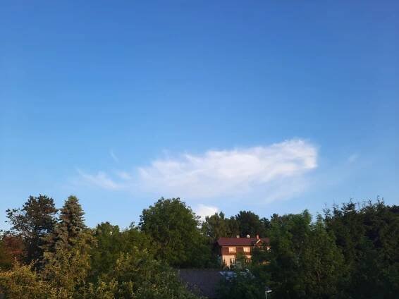 Olešná