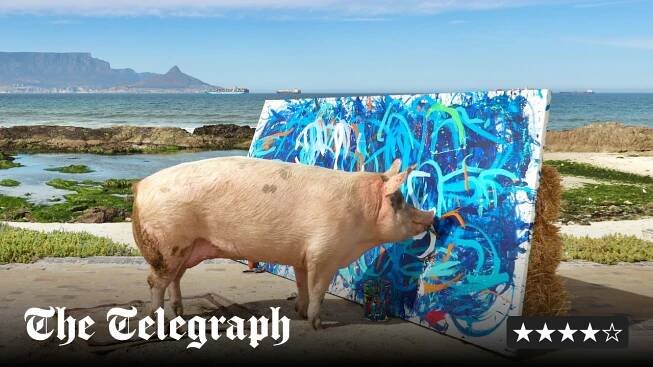 Pigcasso – a pig who can really paint, or proof of human stupidity?