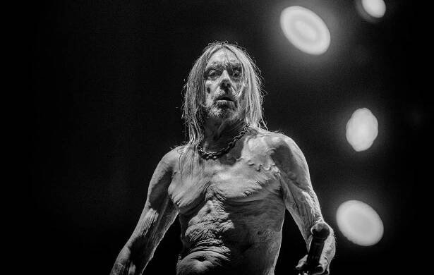Iggy Pop - ‘Every Loser’ review: The Godfather of Punk stages a raucous return to his roots