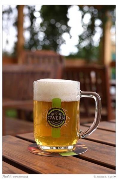 Gwern Žiznivý citrusák - Pivníci.cz
