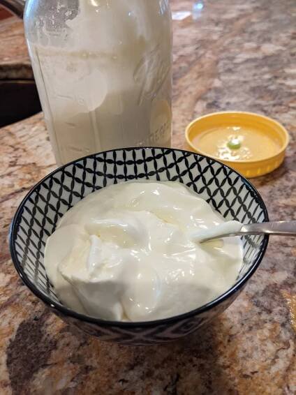 Fun with Yoghurt: fully sous vide and stearic enhanced - Eat Meat. Not too Little. Mostly Fat.