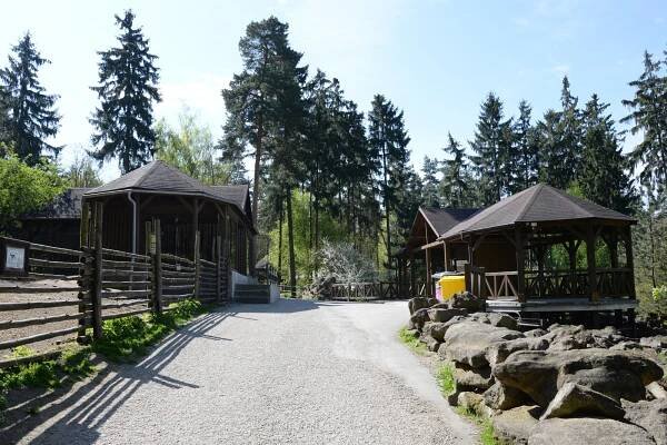 Výběhy pro soby | Zoo Olomouc - Svatý Kopeček