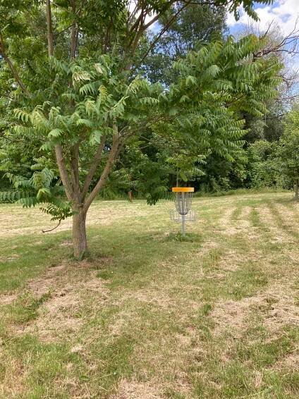 Discgolfové hřiště Město Modřice | Course Photos