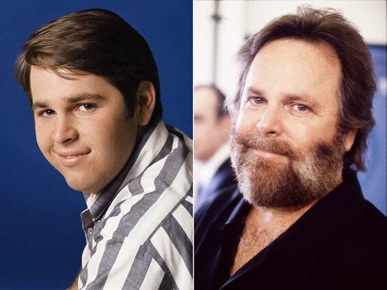 18-astonishing-facts-about-carl-wilson