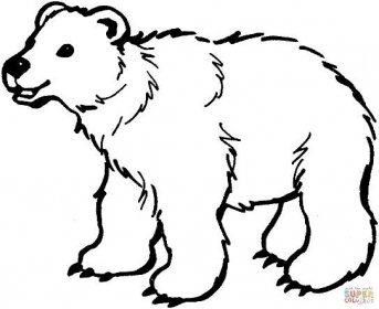 Medvěd hnědý omalovánka | Omalovánky k Vytisknutí Zdarma