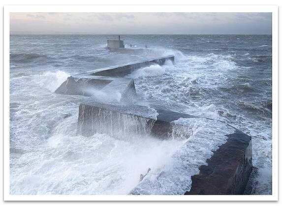 Along the Firth of Forth - Artist Notecards