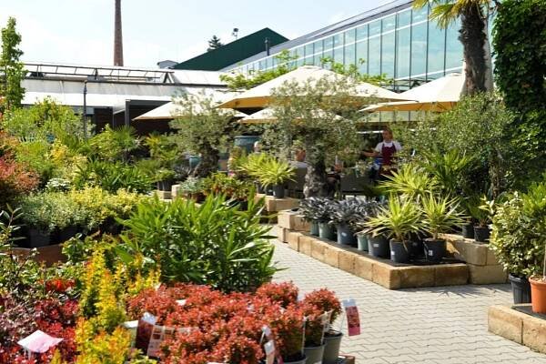 Sommer im Gartencentrum | Zahradnictví Dvořák a syn