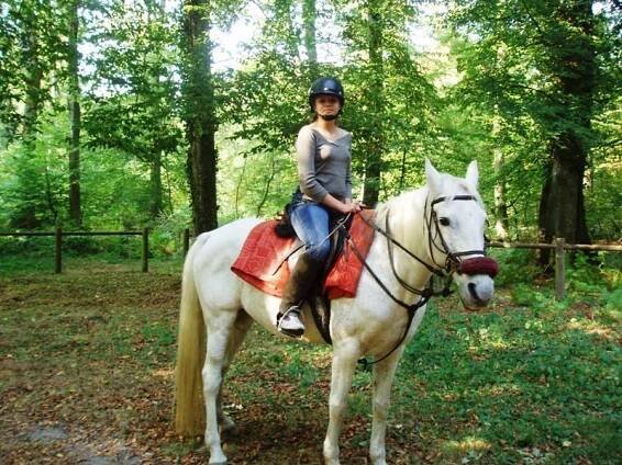 FULL MOON - Photos des meilleurs moments. Photo de cheval. Photos de chevaux. 