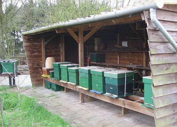 Soubor:Bijenstand (Honeybees).jpg – Wikipedie