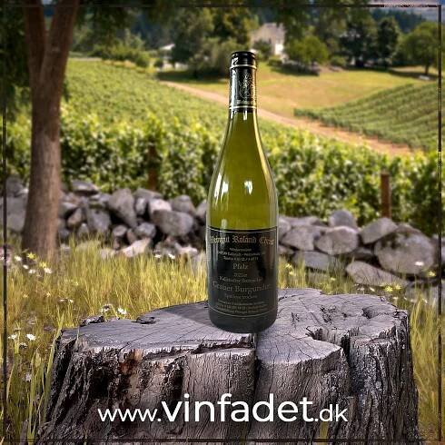Hvidvin – Vinfadet