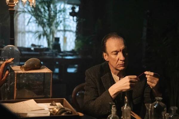 David Thewlis - Actor