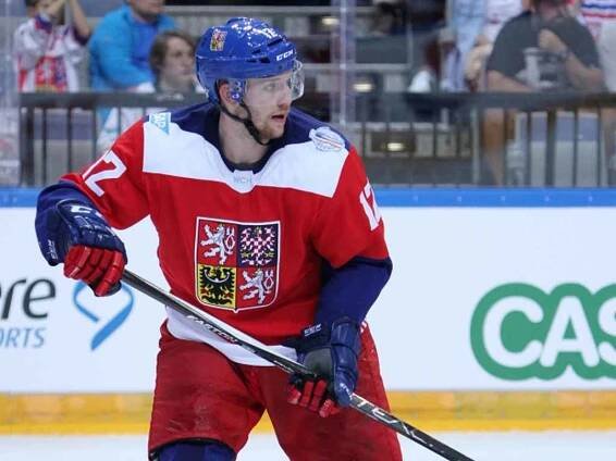 Radek Faksa.