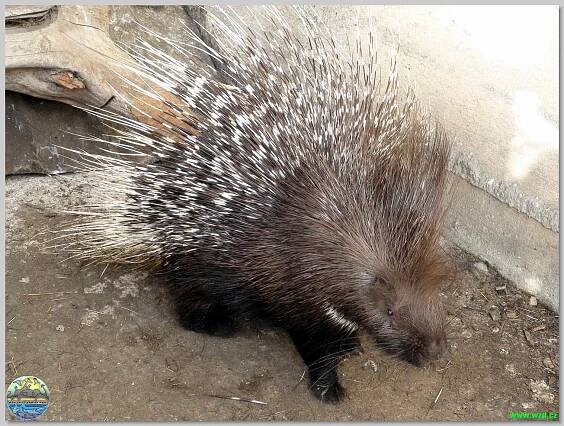 Fauna Park - Dětský ráj Valašské Meziříčí - Štěpánov