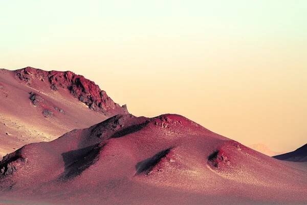 Jonas Daley - Black gobi III