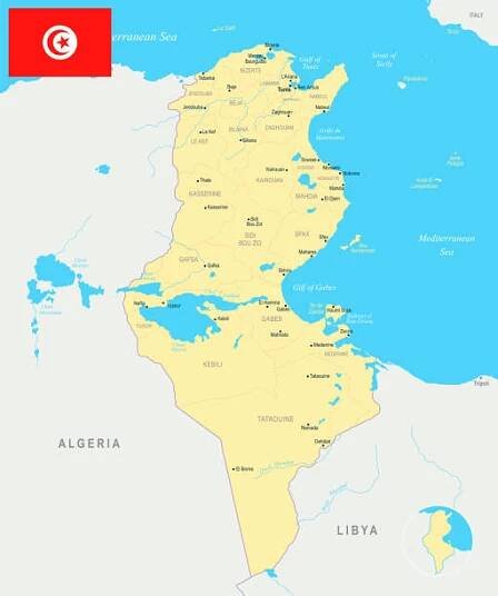 mapa tuniska - podrobné vektorové ilustrace - tunisia map stock ilustrace